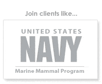 uv clients