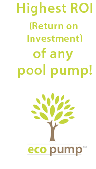 energy efficient pool pump