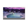 pool ionizer