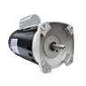 ecopump energy efficient pool pump motors
