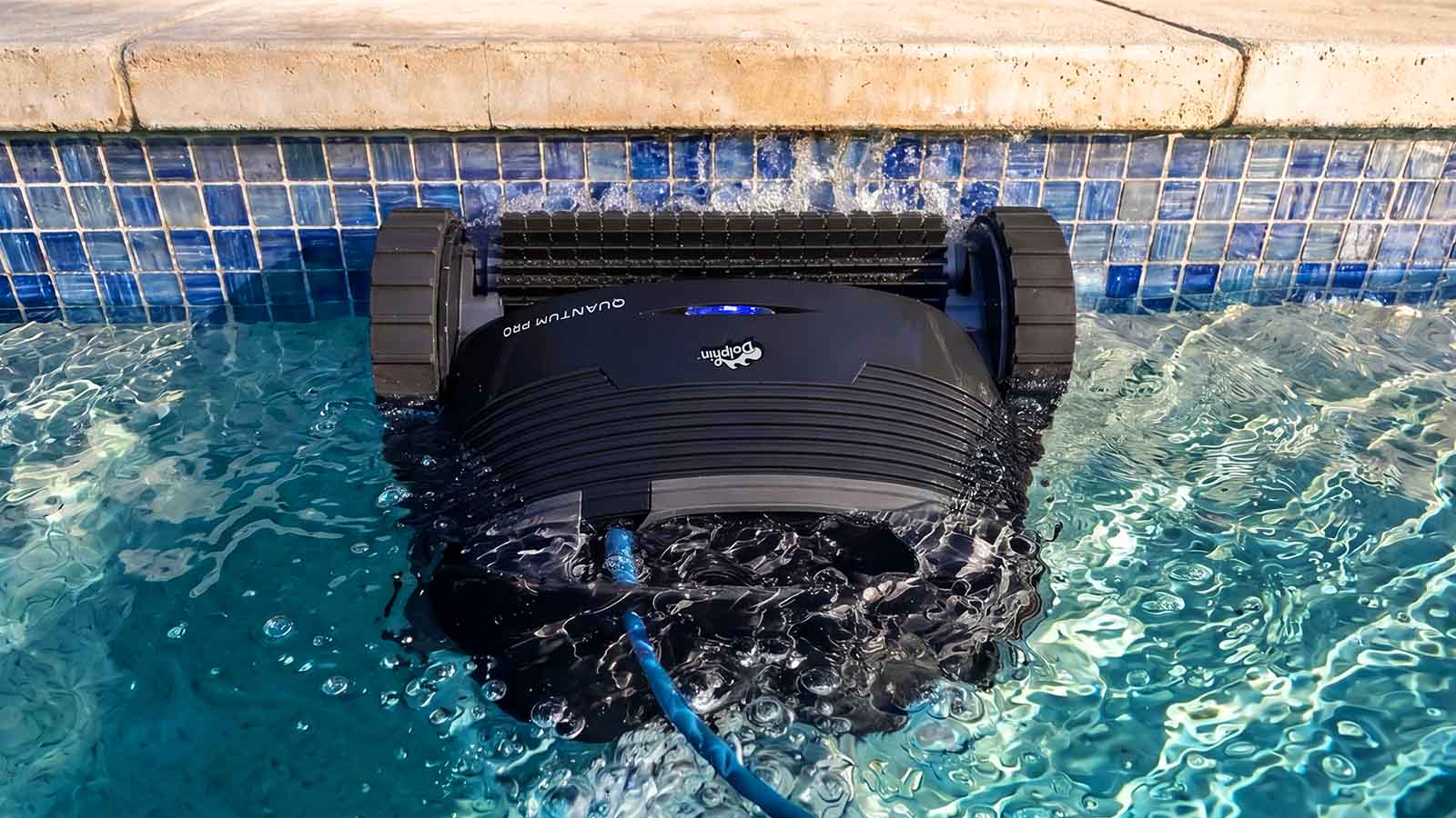 Dolphin Quantum Active HyperBrush Scrubbing