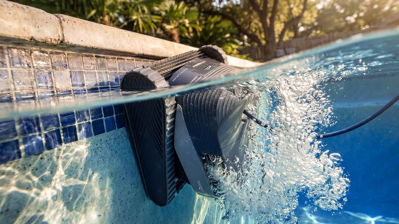 Dolphin Quantum PowerJet 3D Mobility