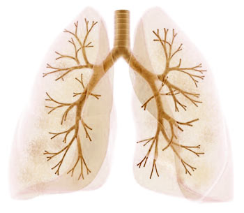 Hot Tub Lung Disease
